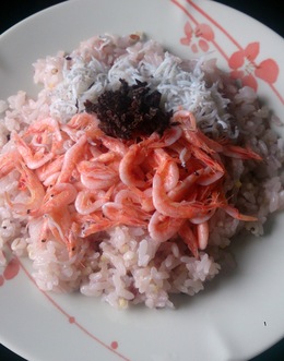 ほんのり幸せ色のちらし寿司風、生しらすと桜えびの海鮮丼×イダ・ヘンデル（ヴァイオリン）