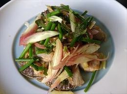 味わい深く滋味豊かなかつおの和風ソテー×ルドルフ・ブッフビンダー(ピアノ)